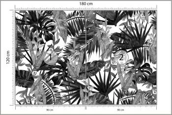 Fototapeta Liście Tropikalne - obrazek 3