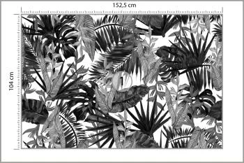 Fototapeta Liście Tropikalne - obrazek 3