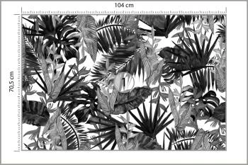 Fototapeta Liście Tropikalne - obrazek 3