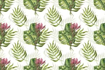 Fototapeta Liście Monstera - obrazek 2
