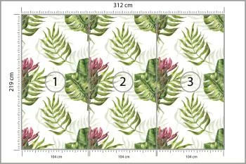 Fototapeta Liście Monstera - obrazek 3