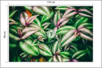 Fototapeta Liście Tropikalne - obrazek 3