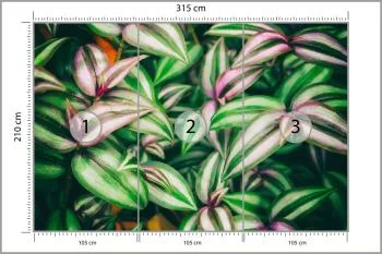 Fototapeta Liście Tropikalne - obrazek 3