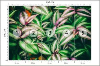 Fototapeta Liście Tropikalne - obrazek 3