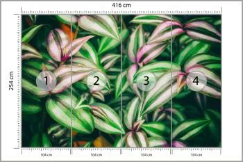 Fototapeta Liście Tropikalne - obrazek 3