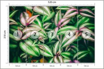 Fototapeta Liście Tropikalne - obrazek 3