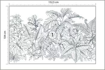 Fototapeta Liście Do Salonu - obrazek 3