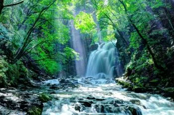 Fototapeta Wodospad W Lesie - obrazek 2
