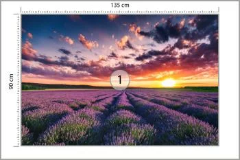 Fototapeta Pole Lawenda - obrazek 3
