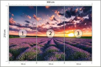 Fototapeta Pole Lawenda - obrazek 3