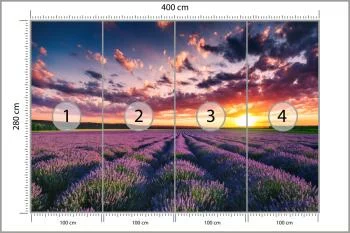 Fototapeta Pole Lawenda - obrazek 3