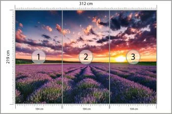 Fototapeta Pole Lawenda - obrazek 3