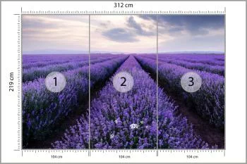 Fototapeta Lawendowe Pole - obrazek 3