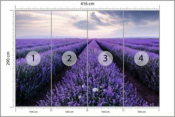 Fototapeta Lawendowe Pole - obrazek 3