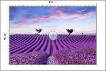 Fototapeta Pole Lawenda - obrazek 3