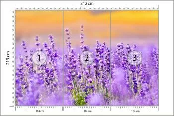 Fototapeta - Pola Lawendy o Zachodzie Słońca - obrazek 3