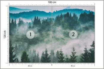 Fototapeta Las We Mgle - obrazek 3