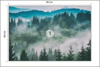 Fototapeta Las We Mgle - obrazek 3