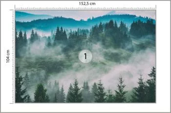 Fototapeta Las We Mgle - obrazek 3