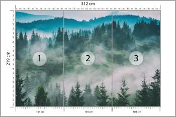 Fototapeta Las We Mgle - obrazek 3