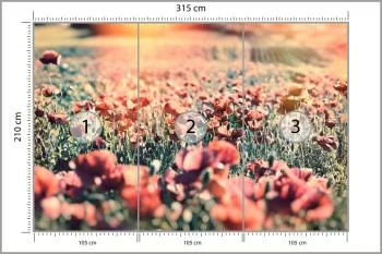 Fototapeta Łąka Pełna Maków - obrazek 3