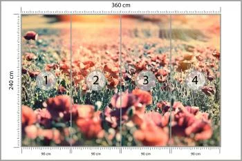 Fototapeta Łąka Pełna Maków - obrazek 3