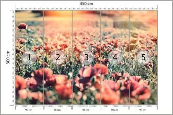 Fototapeta Łąka Pełna Maków - obrazek 3
