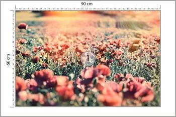Fototapeta Łąka Pełna Maków - obrazek 3