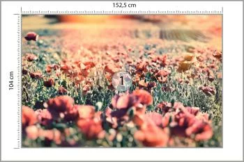 Fototapeta Łąka Pełna Maków - obrazek 3