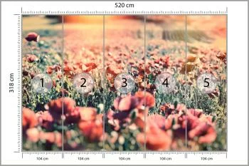 Fototapeta Łąka Pełna Maków - obrazek 3