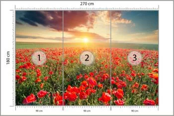 Fototapeta Pole Maków - obrazek 3