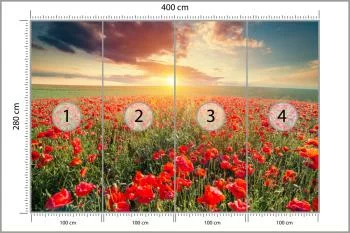 Fototapeta Pole Maków - obrazek 3