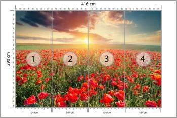 Fototapeta Pole Maków - obrazek 3