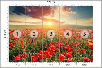 Fototapeta Pole Maków - obrazek 3