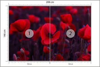 Fototapeta Dzikie Czerwone Maki - obrazek 3