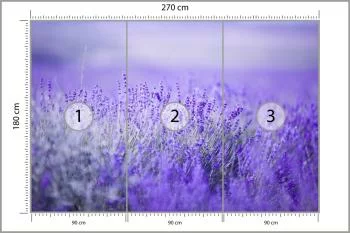 Fototapeta Lawenda Kwiaty - obrazek 3