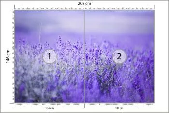 Fototapeta Lawenda Kwiaty - obrazek 3