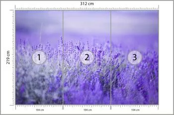 Fototapeta Lawenda Kwiaty - obrazek 3