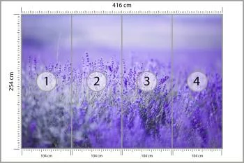 Fototapeta Lawenda Kwiaty - obrazek 3