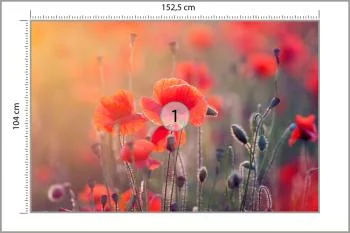Fototapeta Pole Maków - obrazek 3