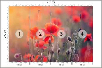 Fototapeta Pole Maków - obrazek 3