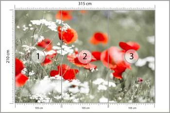 Fototapeta Dzikie Czerwone Maki - obrazek 3