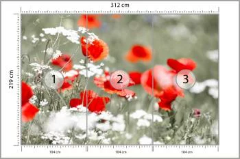 Fototapeta Dzikie Czerwone Maki - obrazek 3