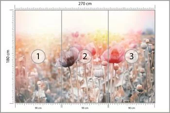 Fototapeta Pole Maków - obrazek 3
