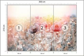 Fototapeta Pole Maków - obrazek 3
