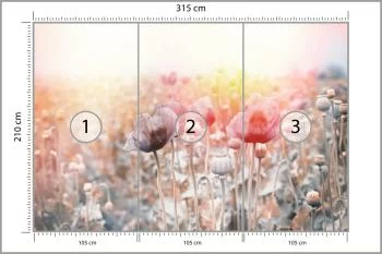 Fototapeta Pole Maków - obrazek 3