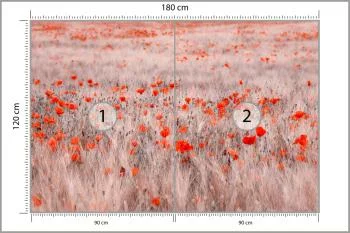Fototapeta Pole Maków - obrazek 3