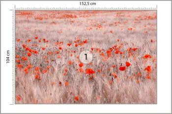 Fototapeta Pole Maków - obrazek 3