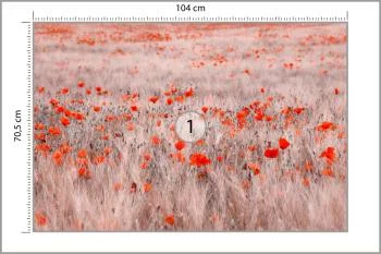 Fototapeta Pole Maków - obrazek 3