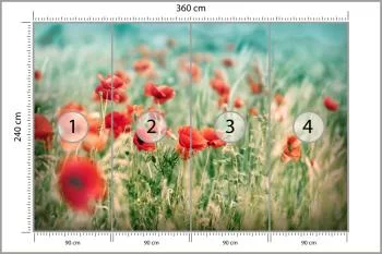 Fototapeta Dzikie Maki Na Łące - obrazek 3